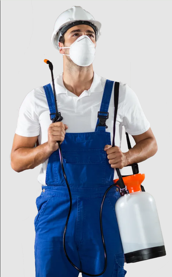 A cropped image of a pest control worker holding his spraying tools